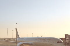 Etihad Boeing 787 Dreamliner