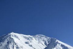 20260205_010624392_iOS-scaled