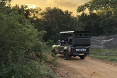 Jeep Sonnenaufgang