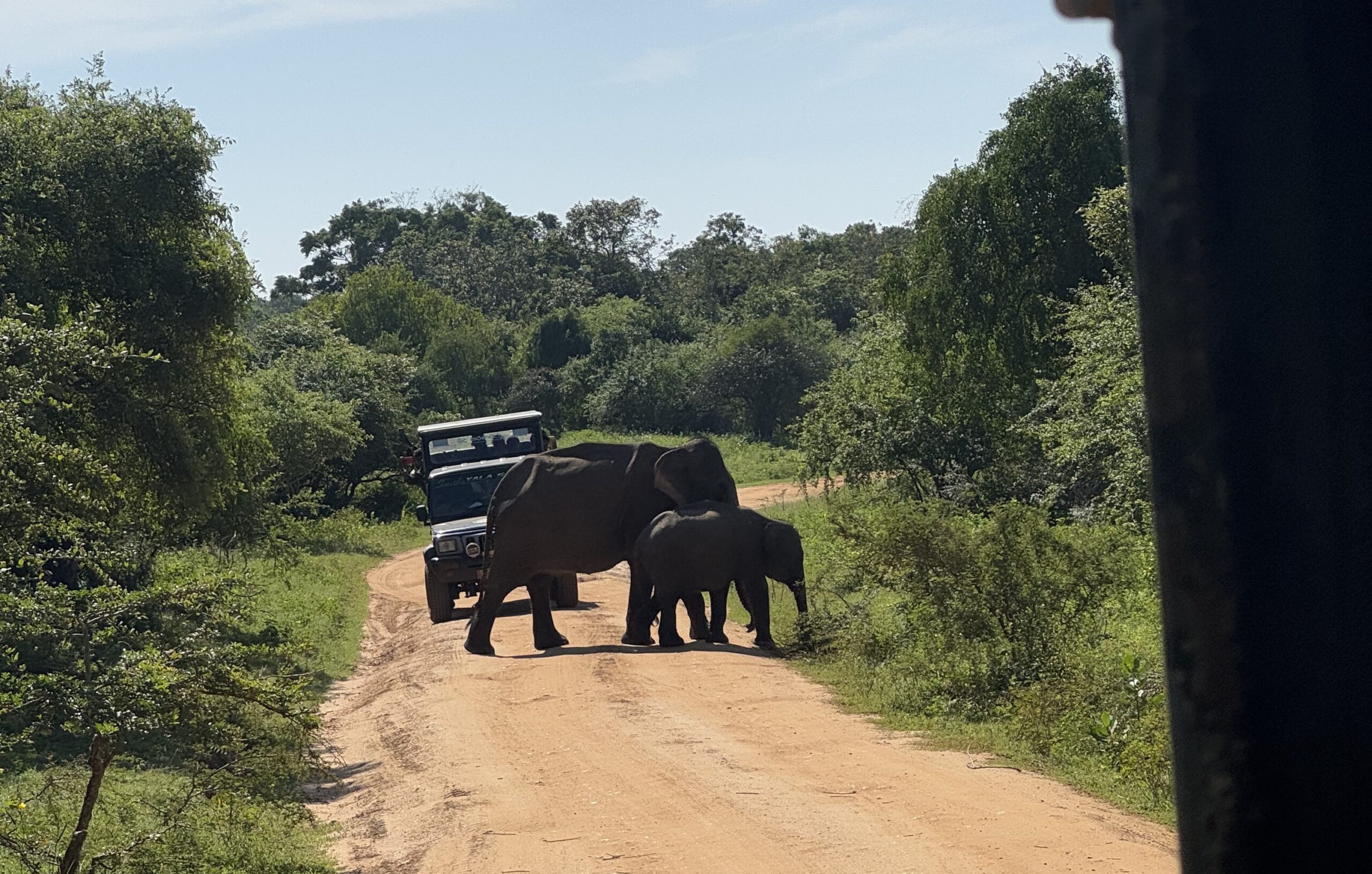 Yala Nationalpark